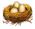 Bird nest with three eggs